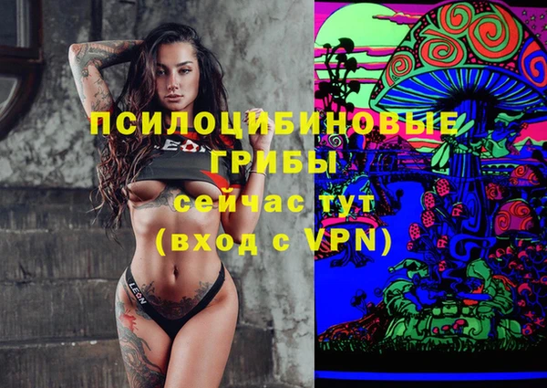 мескалин Касимов