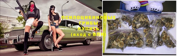 мескалин Касимов