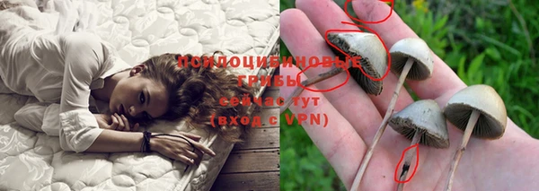 мескалин Касимов